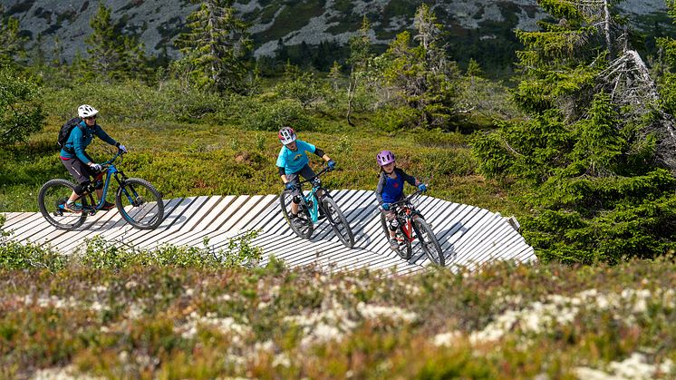 Stisykling er hovedgrunnen til at mange familier velger Trysil om sommeren. Foto: Jonas Sjögren/Trysil