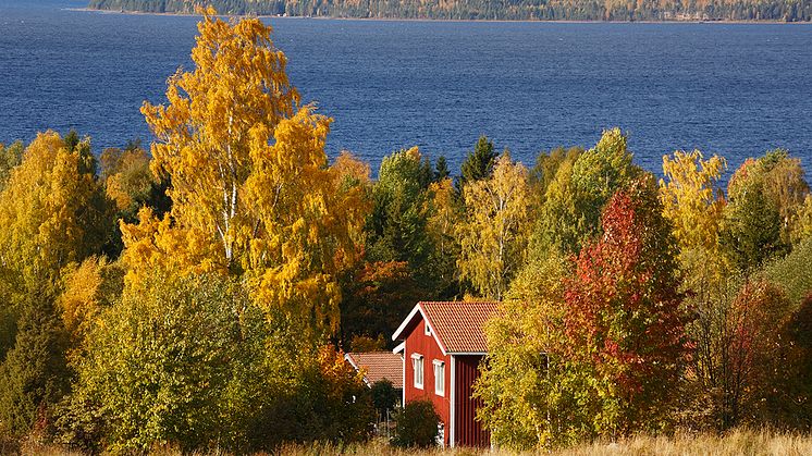 Elmarknaden pekar både upp och ner