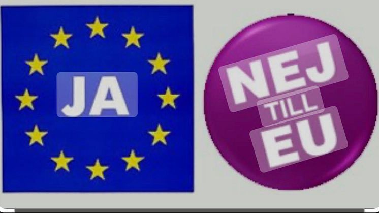 EU:s omvandling från handelsunion till politisk union