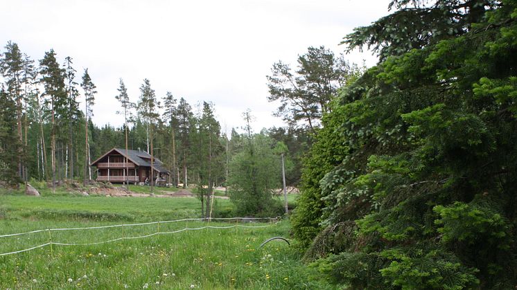 Tekemisen meininkiä Arla Ingmanin viestinnässä