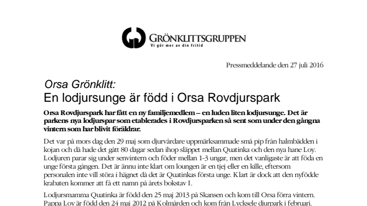 En lodjursunge är född i Orsa Rovdjurspark