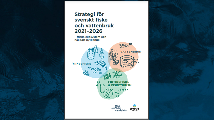 Den 31 maj överlämnade Havs- och vattenmyndigheten och Jordbruksverket en gemensam strategi för svenskt fiske och vattenbruk för 2021-2026 till regeringen. Strategin har utformats i samverkan med näringar, intresseorganisationer och myndigheter.