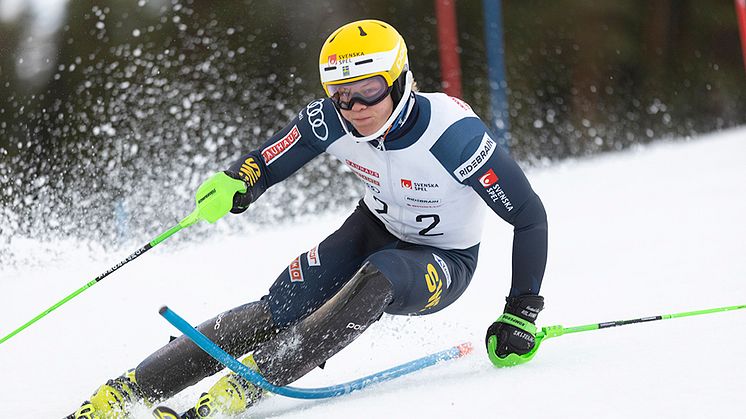 Axel Lindqvist, Sundsvalls SLK, är regerande svensk mästare i slalom på herrsidan. Foto: Niklas Axhede/Fredag