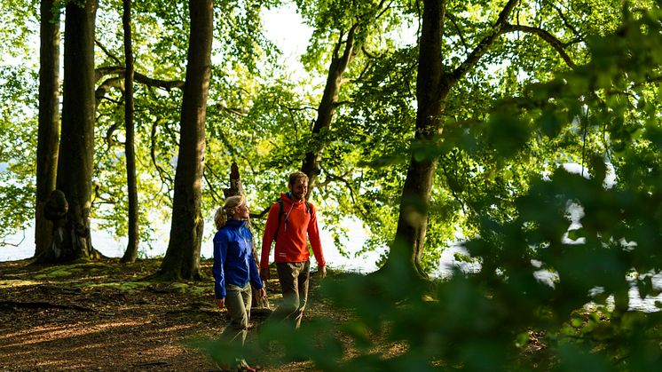 Wandern, beispielsweise am Stechlinsee im Ruppiner Seenland, kann man in Brandenburg auch vielerorts am Wasser. Foto: TMB-Fotoarchiv/Wolfgang Ehn. 