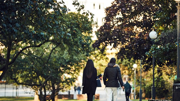 Helsingborgs stad sätter fler i arbete 