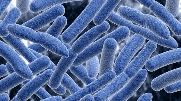 Finns ESBL-bildande E. coli i livsmedel?