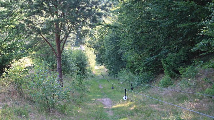 Vad vill du göra i Sjöbo Ora? Det vill Sjöbo kommun veta.