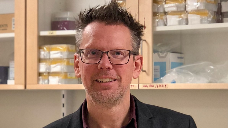 Professor Tore Bengtsson har tilldelats ett forskningsanslag på 2 000 000 kronor