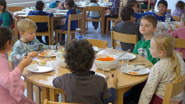 Die Ringvorlesung nimmt die nachhaltige Ernährungsbildung u.a. in der Schule in den Fokus. Foto: DNSV