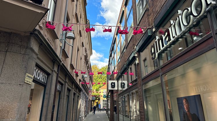 Strömgränden i Helsingborg pryds av rosa bh:ar under Rosa Oktober för att påminna folk att gå och testa sig för bröstcancer.