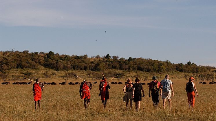 På gå-Safari på savannen i Masai Mara, Kenya
