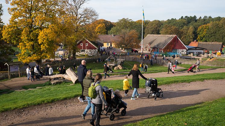 Rekordmånga besökare har hittills besökt Skånes Djurpark under höstlovsveckan.