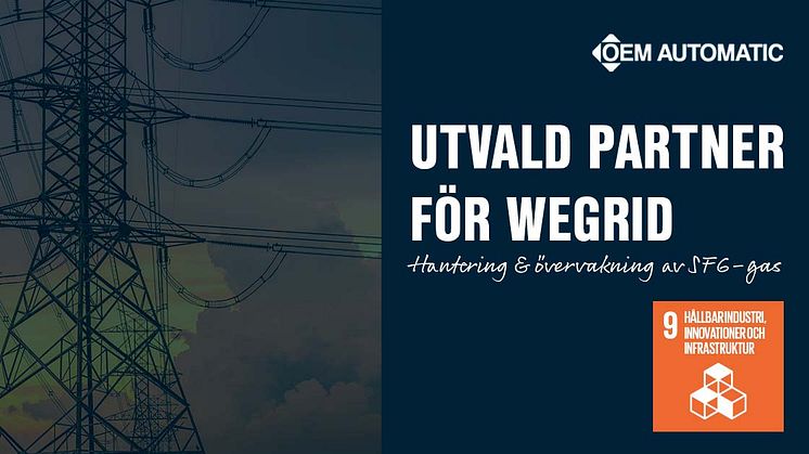 SF6-gas | WEgrid | OEM Automatic