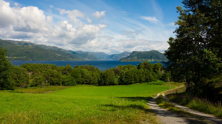 Flokeneset i Askvoll kommune. (Alle foto: Fredrik Halvorsen/Telenor)