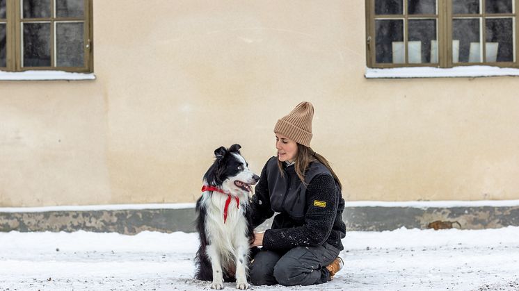 Årets Sociala tjänstehund 2023 Chip med sin ägare Louise Chatteli. Foto Jenny Jurneilus