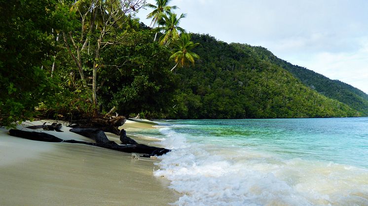 Vest-Papua er et af verdens absolutte biodiversitets hotspots.