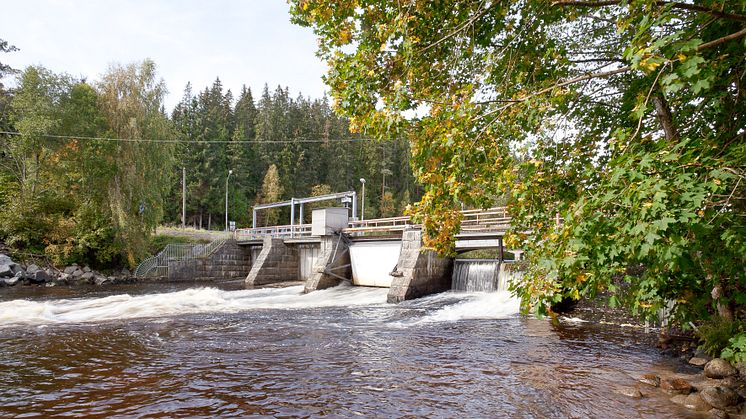 Fiskdöden i Mörrumsån inte Öresundskrafts fel