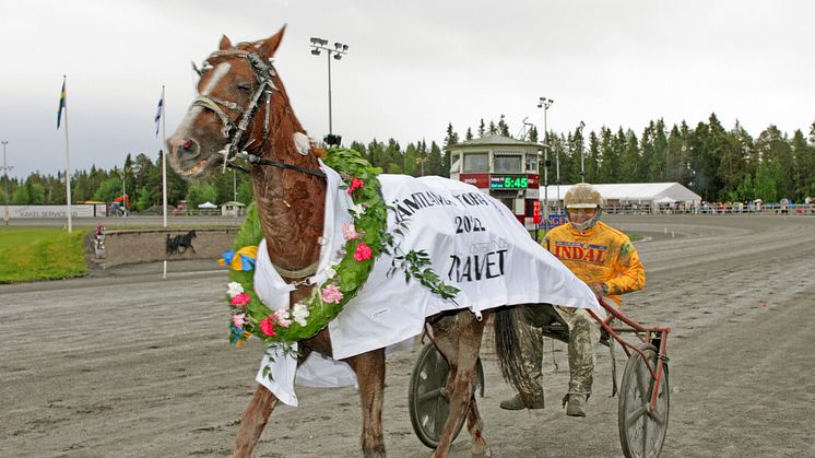 Vernissage Grif blir häst nio till Hugo Åbergs Memorial. Foto: Tom Jönehag.