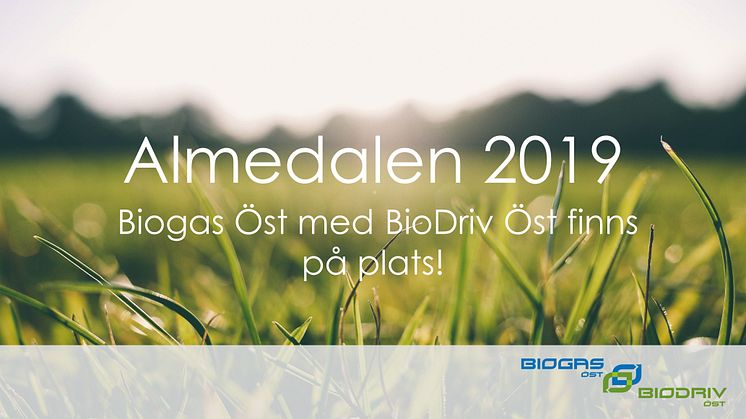 Almedalen 2019 – hör av er till oss