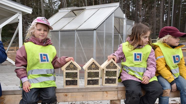 Nu ska alla kommunala förskolor ge husrum till pollinatörerna