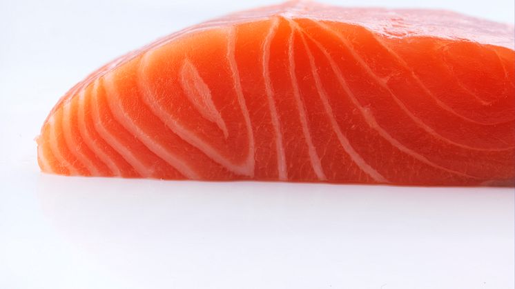 Norwegian salmon tops most sustainable protein production ranking