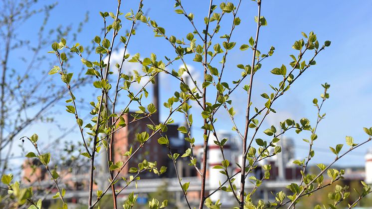 14-15 mars 2017 är det Sveriges första bioekonomiriksdag i Örnsköldsvik.