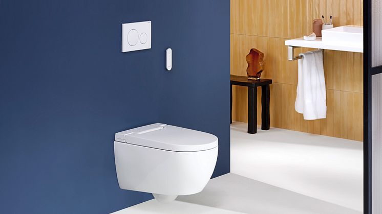 2024_Geberit AquaClean Alba_Private_Remote control_Sigma20_ONE_Option_Original.jpeg