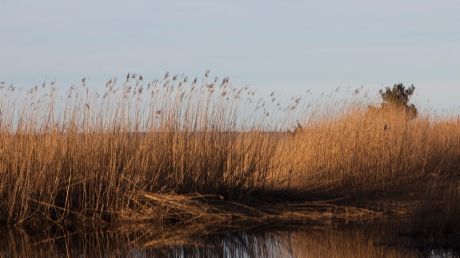 Studie för att säkra Gotlands vattenbehov