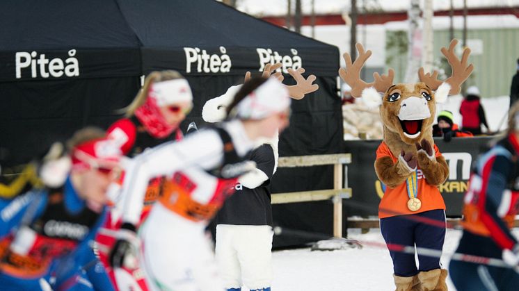 Arenor och dagsprogram är klart för idrotterna under SM-veckan i Piteå. Foto: Ulf Gustafsson