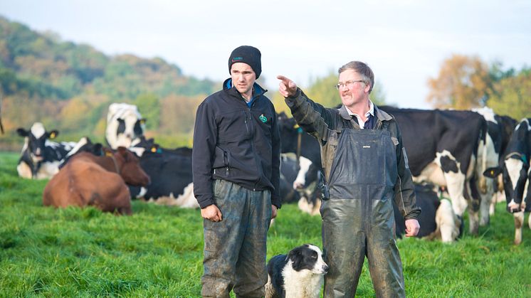 ​Arla Foods reports on its responsibility progress in 2015