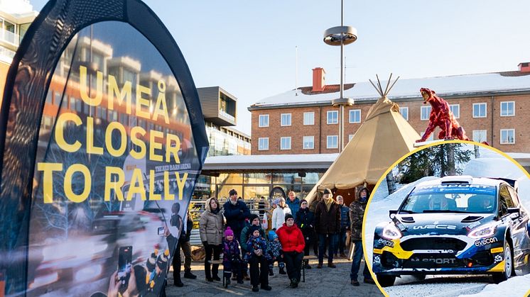 Så blir rallyfesten i Umeå centrum