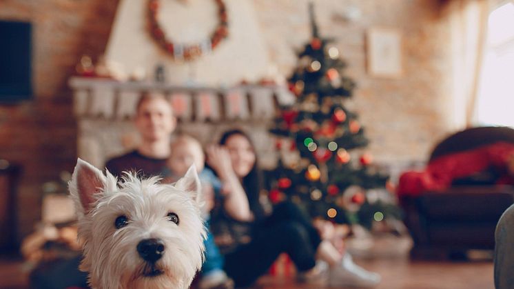 Activez votre système d'alarme en mode partiel pendant que vous profitez de votre réveillon en famille.