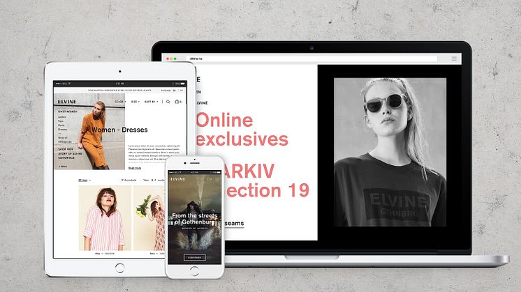 Elvine-Case-Responsive