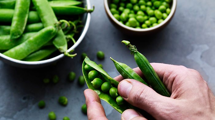 Findus unika söta Ebba-ärta är klimatcertifierad enligt Svenskt Sigill i och med att odlingen sker med minsta möjliga miljöpåverkan.