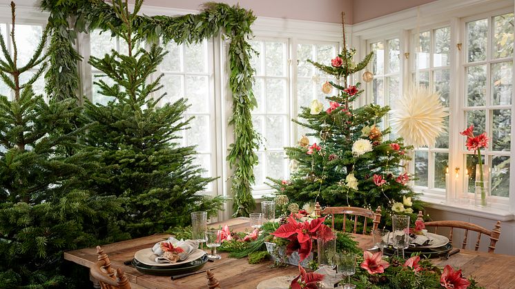 Jouluna niin sisä- kuin ulkotilat koristellaan hillityillä väreillä, luonnonmateriaaleja ja kynttilöitä hyödyntäen