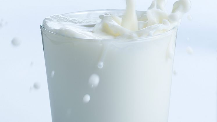 LactoSens® facilitates traceability, as dairies can document low lactose/lactose-free claims for every batch that leaves the production facility.