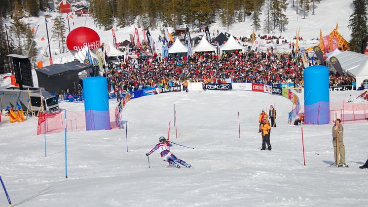 Alpin elit gör upp i Sverige Cup i Tandådalen
