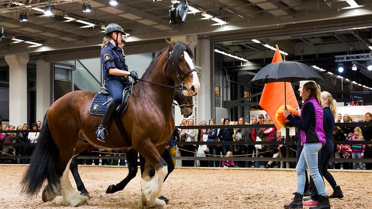 Polisrytteriet hade uppvisning på EuroHorse