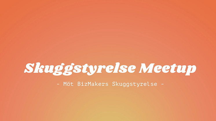 Skuggstyrelse Meetup - Möt BizMakers skuggstyrelse