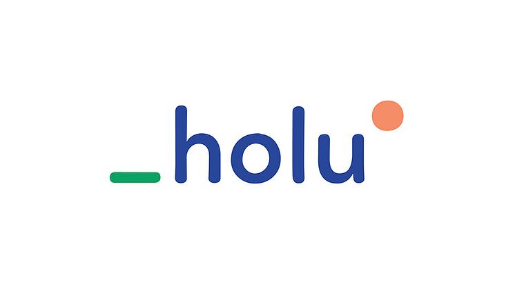 Otovo sells it's stake in Brazilian solar platform Holu to Gera Brasil Tecnologia Ltda.