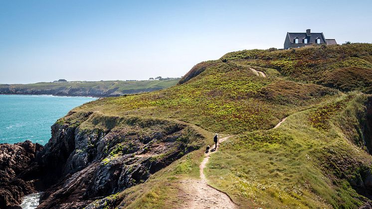 1 timmes promenad genom naturen sänker stressen, visar forskning. Foto: Pixabay. CC0