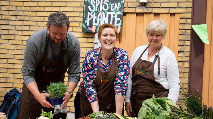 Geitmyra på plass på Bakårdsfestivalen. Anders Jarmann, Kine Bekkengen og Heidi Irene Lie 