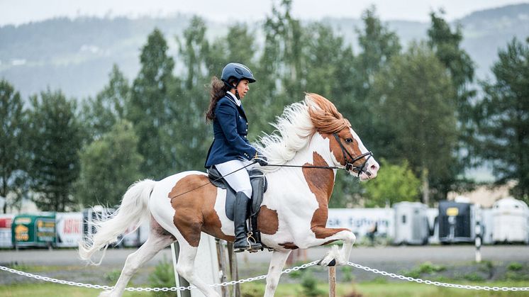 Toppur frá Auðsholtshjáleigu och Jamila Berg