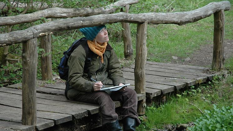 Kunstnerne finder deres motiver i naturen - foto: Danske kunstnere for natur og miljø