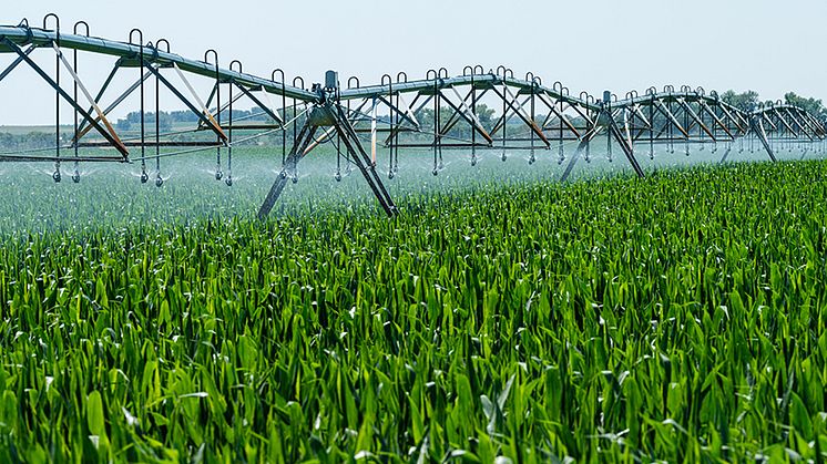 Nu startar ett nytt banbrytande forskningsprojekt vid MDU, med målet att skapa effektiva metoder för att omvandla industriellt processvatten och avloppsvatten till en värdefull resurs för matproduktion. 