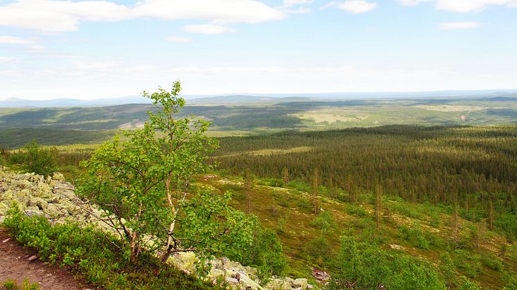 Pressinbjudan: Forskarseminarium Fulufjället 2015