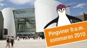 Pingviner OZEANEUM Stralsund 