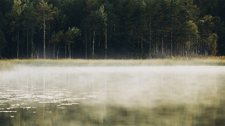 Miljöbedömningsmodell för läkemedel kan styra mot grönare alternativ