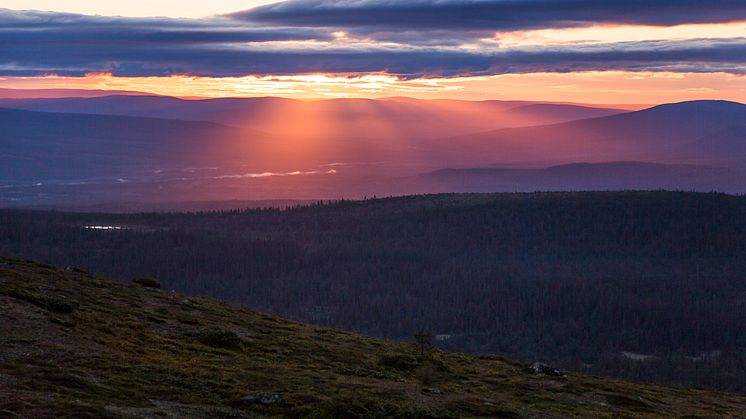 Sommar i Lofsdalen