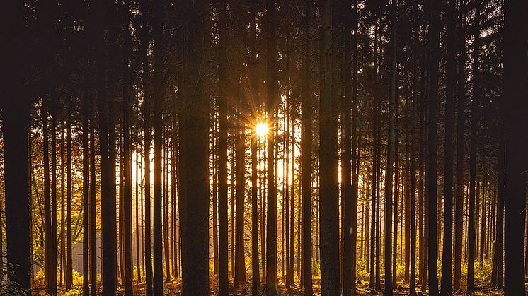 Hela Skåne består av platser som väntar på att bli upptäckta.